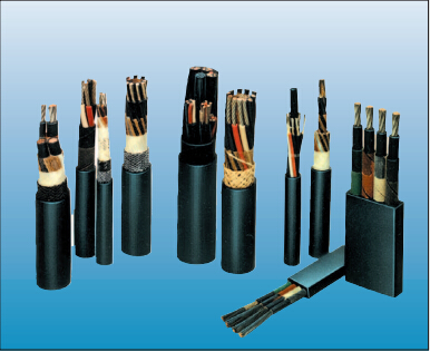 蘇州昱齊盛人力資源與歐南芭勞務(wù)外包合作案例